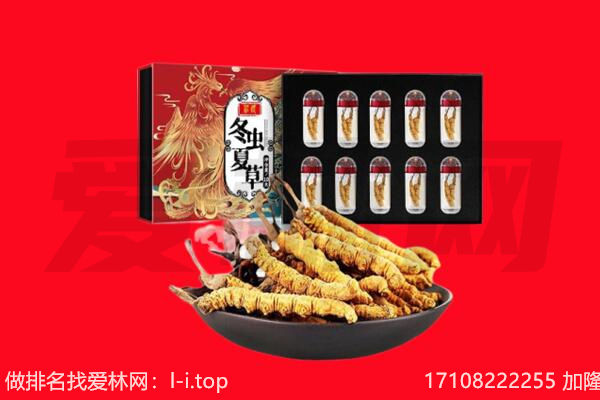 重庆市江北回收虫草.jpg
